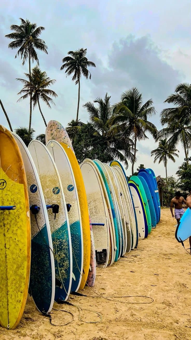 Surf & paddle